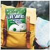 LifeSavers Mints Candy Wint O Green-4