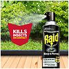 Raid Wasp & Hornet Insect Killer-3