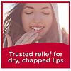 Carmex Medicated Lip Balm Tubes, Lip Moisturizer for Chapped Lips-4