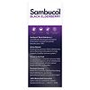 Sambucol Black Elderberry Original Immune Support Syrup Elderberry