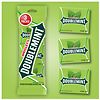 Doublemint Chewing Gum-4