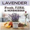 Mrs. Meyer's Clean Day Laundry Detergent Liquid Lavender-4