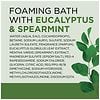 Dr. Teal's Foaming Bath Eucalyptus & Spearmint-2