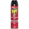Raid Ant & Roach Killer 26, Aerosol Bug Spray Kills on Contact Outdoor Fresh-0