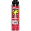 Raid Ant & Roach Killer 26, Aerosol Bug Spray Kills on Contact Outdoor Fresh-2