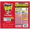 Raid Ant & Roach Killer 26, Aerosol Bug Spray Kills on Contact Outdoor Fresh-3