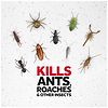 Raid Ant & Roach Killer 26, Aerosol Bug Spray Kills on Contact Outdoor Fresh-5