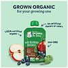 Gerber Organic for Baby Food Apple Blueberry Spinach-9
