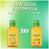 Garnier Fructis Sleek & Shine Moroccan Sleek Smoothing Oil for Dry Hair-7