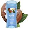 Secret Clear Gel Antiperspirant and Deodorant Cocoa Butter-1