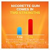 Nicorette Nicotine Gum to Stop Smoking, 4mg Fruit Chill-6
