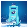 Dial Antibacterial Liquid Hand Soap Refill Spring Water-4