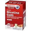 Walgreens Coated Nicotine Gum, Polacrilex, Sugar Free, 4mg Cinnamon-2