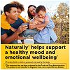 Nature Made SAM-e Complete 400 mg Tablets-2