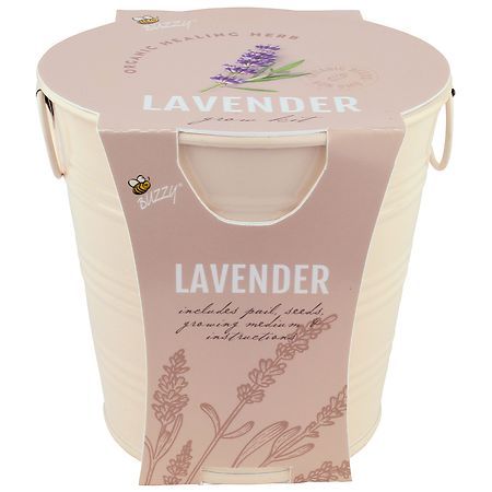 Buzzy Painted Pail Grow Kit - Lavender