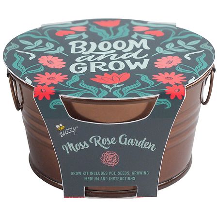 Buzzy Painted Basin Grow Kit - Moss Rose