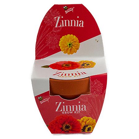 Buzzy Terra Cotta Grow Kit - Zinnia