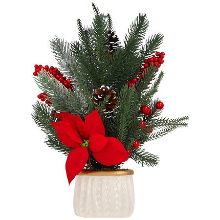 Festive Voice Poinsettia Plant