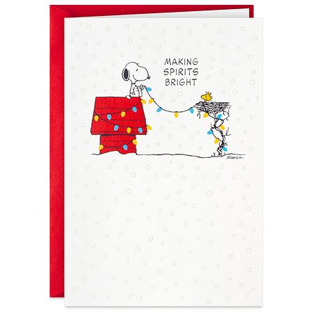 Hallmark Boxed Christmas Cards Snoopy and Woodstock Hanging Lights