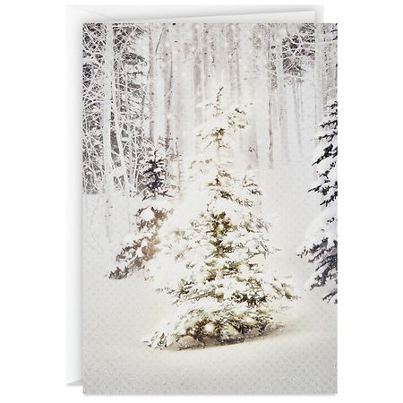 Hallmark Boxed Christmas Cards Blessings Everywhere