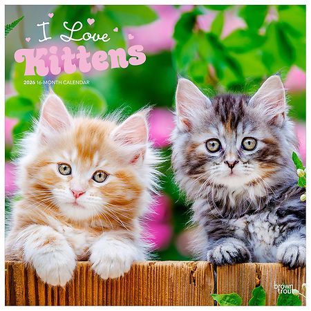 Brown Trout I Love Kittens 2026 Monthly Square Wall Calendar, Plastic-Free