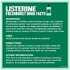 Listerine Antiseptic Mouthwash Spearmint-10