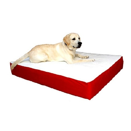 Majestic Pet Products Orthopedic Double Pet Bed 34x48 inch Red