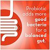Align Digestive Support Probiotic Supplement Cranberry-5