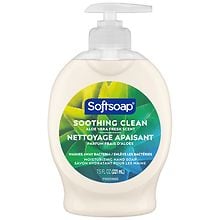 Softsoap Soothing Clean Moisturizing Hand Soap Aloe Vera | Walgreens