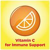 L'il Critters Immune C Plus Zinc Gummy Vitamin Natural Fruit Flavors-1