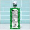 ACT Anticavity Fluoride Mouthwash, Triple Action Mint-1