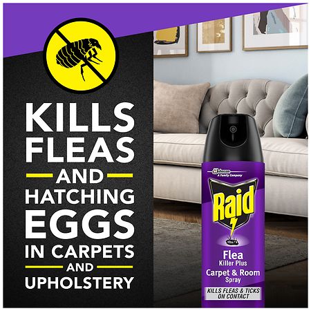 Flea spray shops for carpet