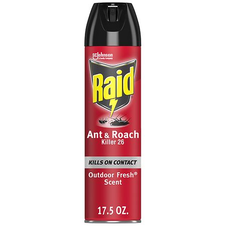 Raid Ant & Roach Killer 26, Aerosol Bug Spray Kills on Contact Outdoor Fresh