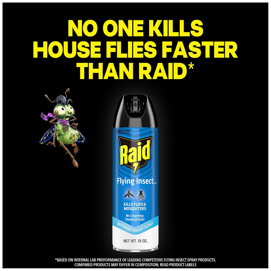 Raid Flying Insect Killer Wasp & Mosquito Insecticide Spray Outdoor Fresh