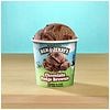 Ben & Jerry's Ice Cream Chocolate Fudge Brownie-5