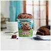 Ben & Jerry's Ice Cream Chocolate Fudge Brownie-6