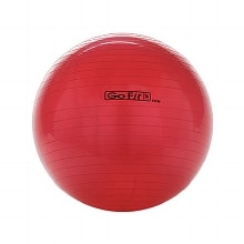 GoFit Exercise Ball | Walgreens