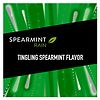 Five Spearmint Rain Sugarfree Gum Rain-6