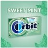 Orbit Orbit Sugar Free Chewing Gum Sweet Mint-2