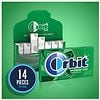 Orbit Sugarfree Gum Spearmint-6