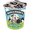 Ben & Jerry's Ice Cream Mint Chocolate Cookie-5