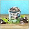 Ben & Jerry's Ice Cream Mint Chocolate Cookie-6