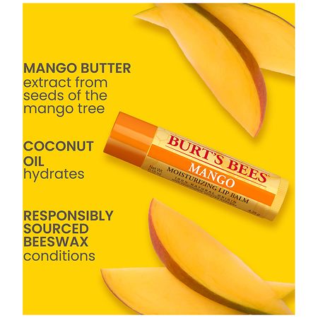  Burt's Bees Lip Balm, Moisturizing Lip Care, for All Day  Hydration, 100% Natural, Pomegranate with Beeswax & Fruit Extracts (4 Pack)  : Beauty & Personal Care