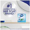 Dial Antibacterial Bar Soap Spring Water-4