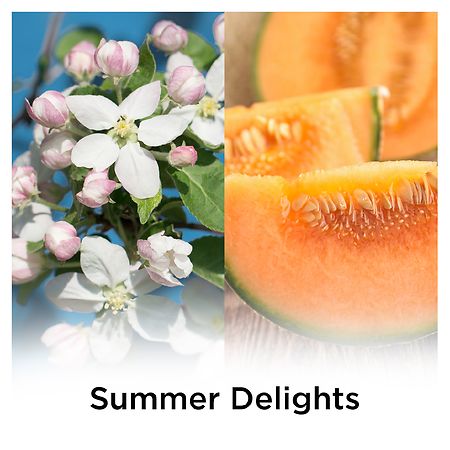 AIR WICK® FRESHMATIC® White Flowers & Melon Summer