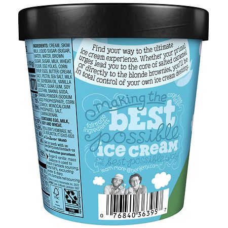 Ben & Jerry's Ice Cream Salted Caramel Sweet Cream