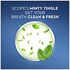 Crest Scope Classic Anticavity Fluoride Mouthwash Mint-6