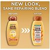 Garnier Whole Blends Repairing Shampoo, Honey Treasures-2