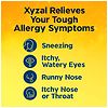 XYZAL Allergy Tablets 24-Hour Allergy Relief, Original Prescription Strength-1