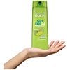 Garnier Fructis Daily Care 2-in-1 Shampoo and Conditioner-4